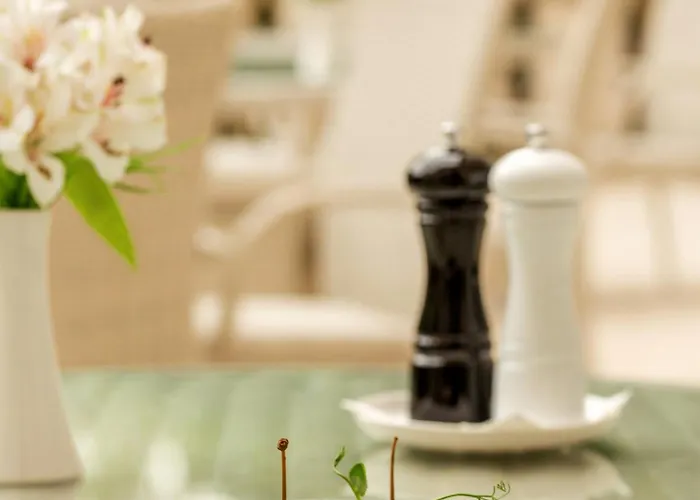 Platinum Palace Boutique & Otel